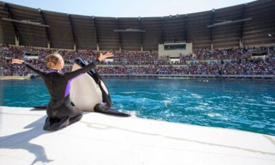 Marineland va fermer ses portes : comprenez-vous la décision du parc ?