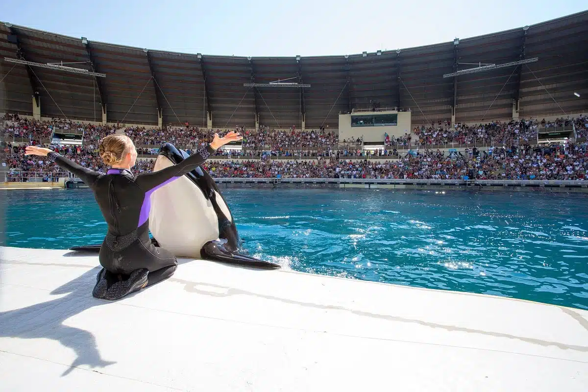 Marineland va fermer ses portes : comprenez-vous la décision du parc ?