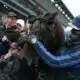 Le trotteur français Idao de Tillard remporte le 104e Prix d'Amérique