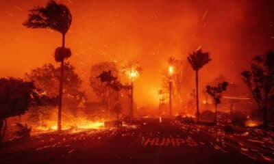 Les incendies s'étendent à Los Angeles, le bilan grimpe à 16 morts