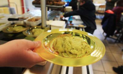 Retour du plastique à la cantine : les écolos furax crient au scandale !