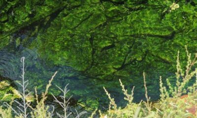 Ces eaux tranquilles qui cachent un danger invisible