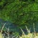 Ces eaux tranquilles qui cachent un danger invisible