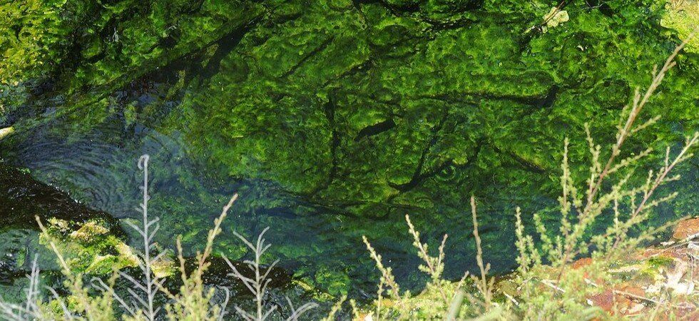 Ces eaux tranquilles qui cachent un danger invisible