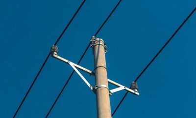 Sous 40°C à l’air libre, le sol atteint 80°C et menace le réseau électrique