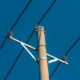Sous 40°C à l’air libre, le sol atteint 80°C et menace le réseau électrique