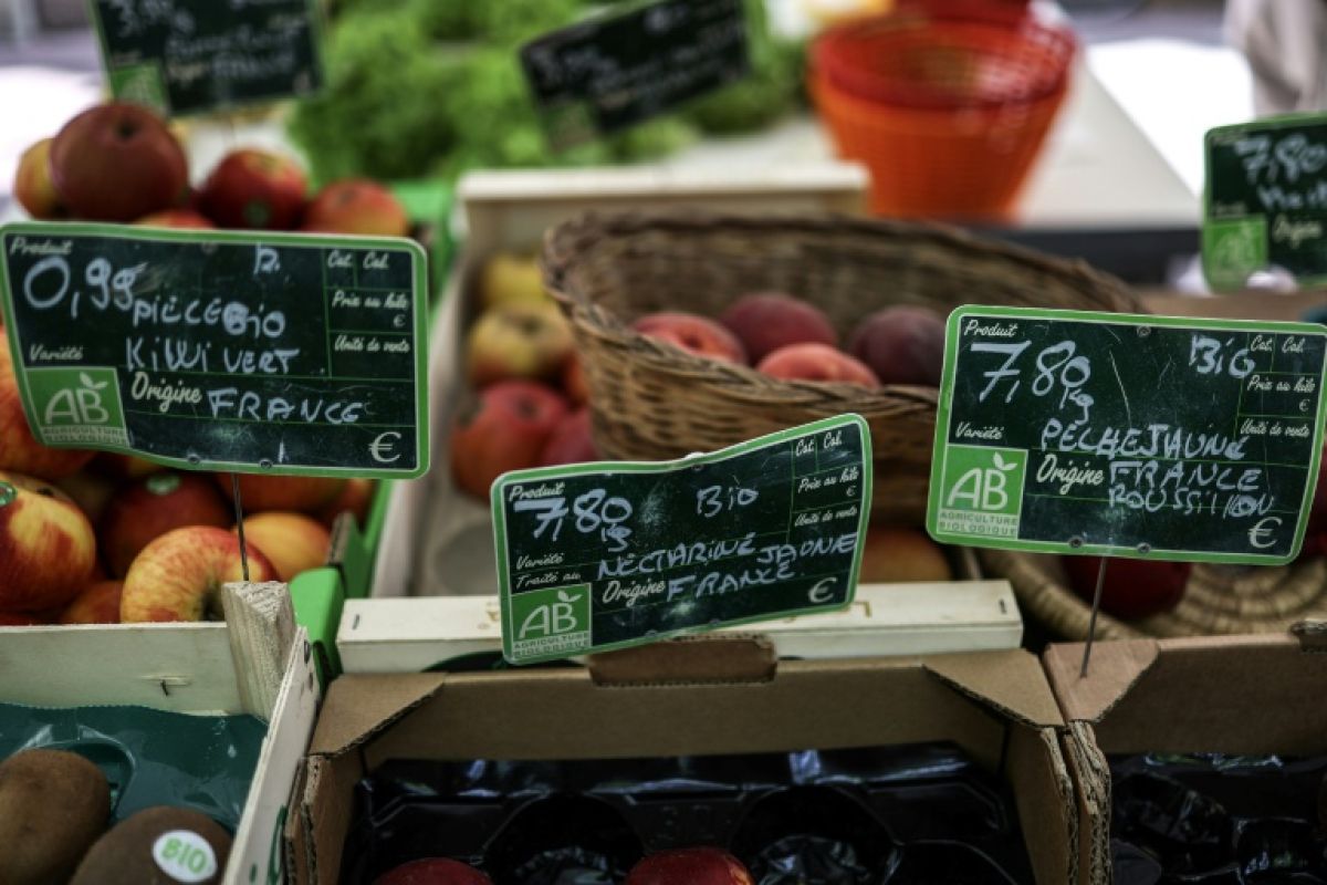 Le bio fait son grand retour dans les chariots, mais les surfaces agricoles continuent de fondre
