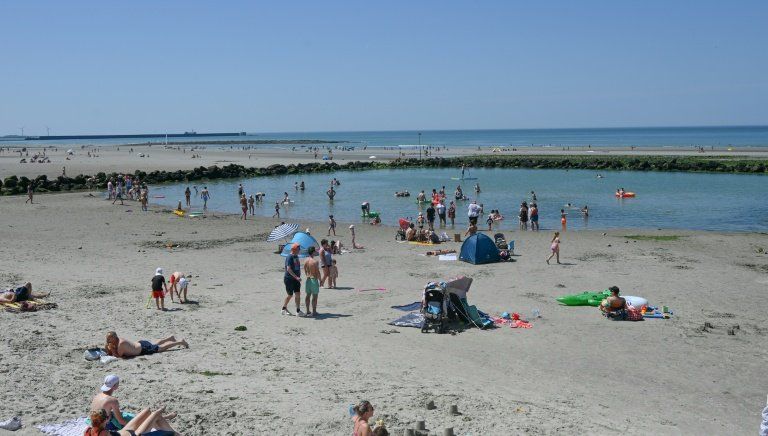 La mer surchauffe en Manche, le plancton rétrécit et les poissons changent de cap