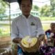 La Malaisie croule sous les durians le prix du roi des fruits dégringole