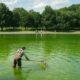 Ce bassin de Washington devait être bleu drapeau, il est devenu vert fluo