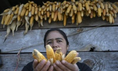 El Niño a commencé, un épisode historique se profile