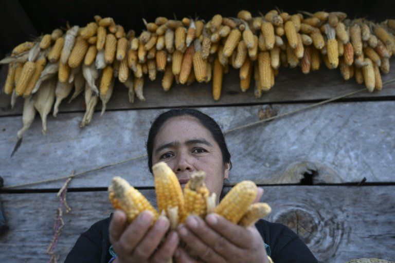 El Niño a commencé, un épisode historique se profile