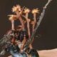 Un champignon zombie se fait lui-même parasiter par un nouveau prédateur mortel découvert à Bornéo