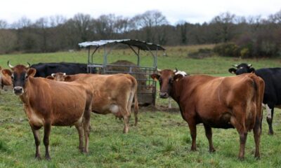 Le Sénat attise les tensions autour de la loi agricole d'urgence