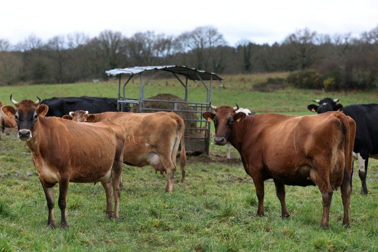 Le Sénat attise les tensions autour de la loi agricole d'urgence