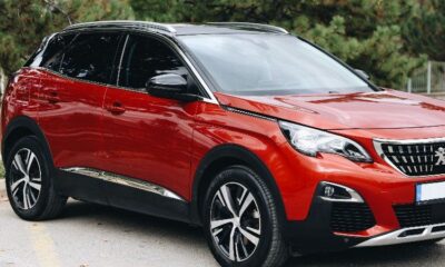 Bloqués dans leur voiture par 40°C le problème caché de ces Peugeot et Citroën