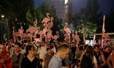Albanie la révolte des flamants roses contre un projet Trump