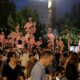 Albanie la révolte des flamants roses contre un projet Trump