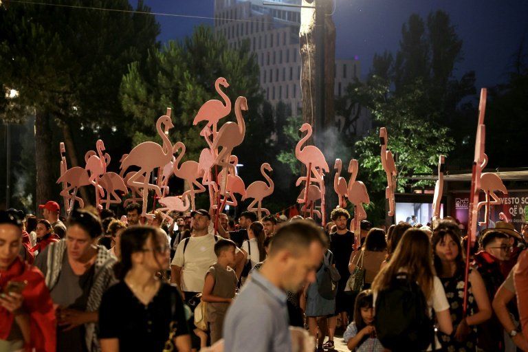 Albanie la révolte des flamants roses contre un projet Trump