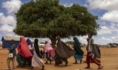 1,1 milliard d'enfants pris dans l'étau d'au moins trois catastrophes climatiques