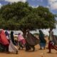 1,1 milliard d'enfants pris dans l'étau d'au moins trois catastrophes climatiques