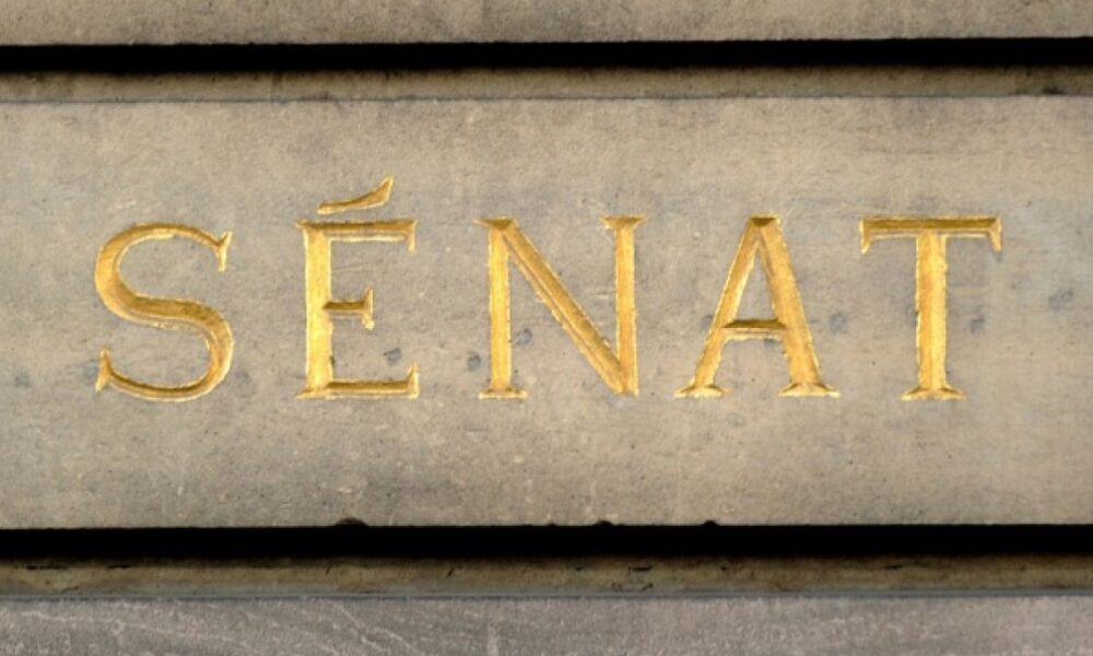 Un rapport sénatorial tire la sonnette d'alarme sur le masculinisme