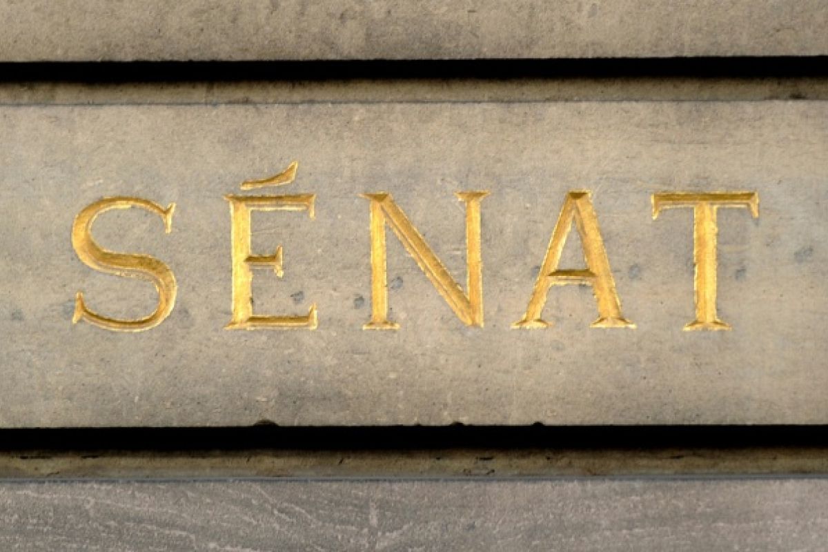 Un rapport sénatorial tire la sonnette d'alarme sur le masculinisme