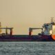 Abandonnés sur un cargo, ils regardent l'horizon sans savoir s'ils reverront un jour la terre