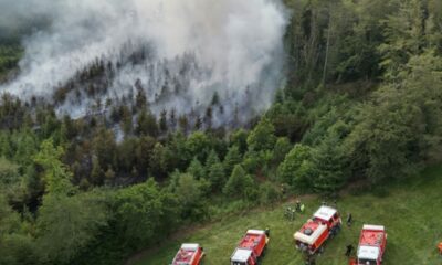 En Bretagne, les pompiers s’entraînent pour des incendies de forêt de plus en plus fréquents