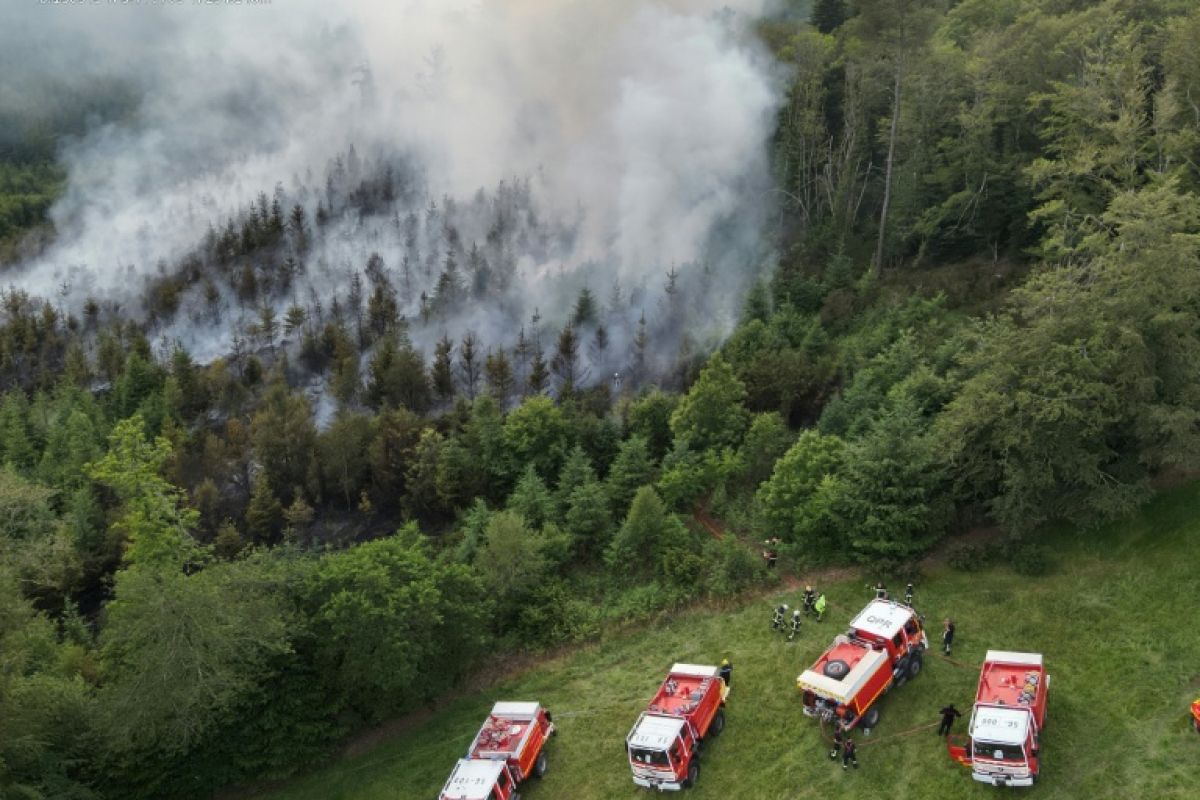 En Bretagne, les pompiers s’entraînent pour des incendies de forêt de plus en plus fréquents