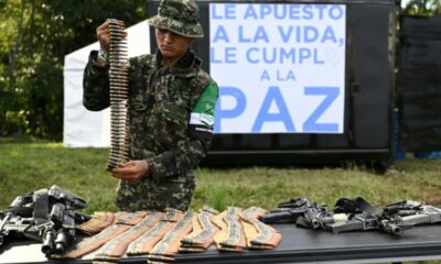 En Colombie 99 guérilleros troquent les fusils contre des livres et une vie légale