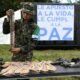 En Colombie 99 guérilleros troquent les fusils contre des livres et une vie légale