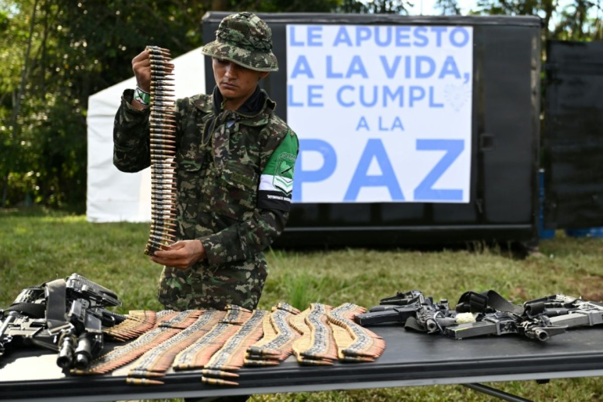 En Colombie 99 guérilleros troquent les fusils contre des livres et une vie légale