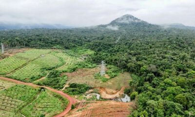 Dans la jungle cambodgienne, caméras et IA percent le secret des animaux fantômes