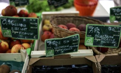 La consommation bio repart en flèche, mais les terres agricoles bio fondent