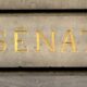 Derrière les écrans, la menace masculine qui alarme le Sénat