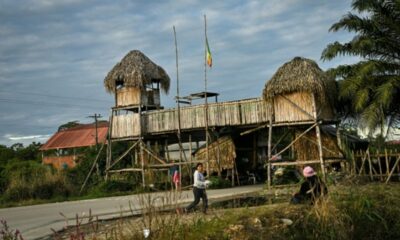 Au cœur de la Bolivie, le Chapare défie le pouvoir et protège son ancien président