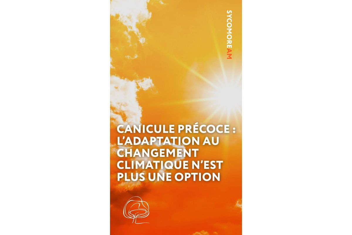 L'Europe étouffe sous un excès de 10°C