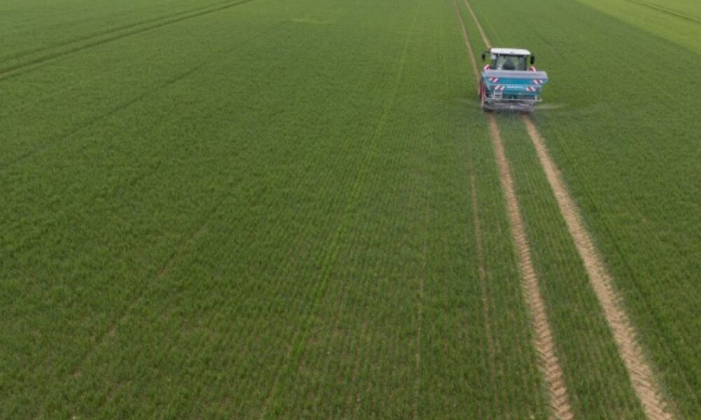 Zéro pesticide, zéro chimie de synthèse : ces champs prouvent que c’est rentable