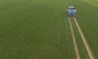 Zéro pesticide, zéro chimie de synthèse : ces champs prouvent que c’est rentable