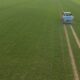 Zéro pesticide, zéro chimie de synthèse : ces champs prouvent que c’est rentable