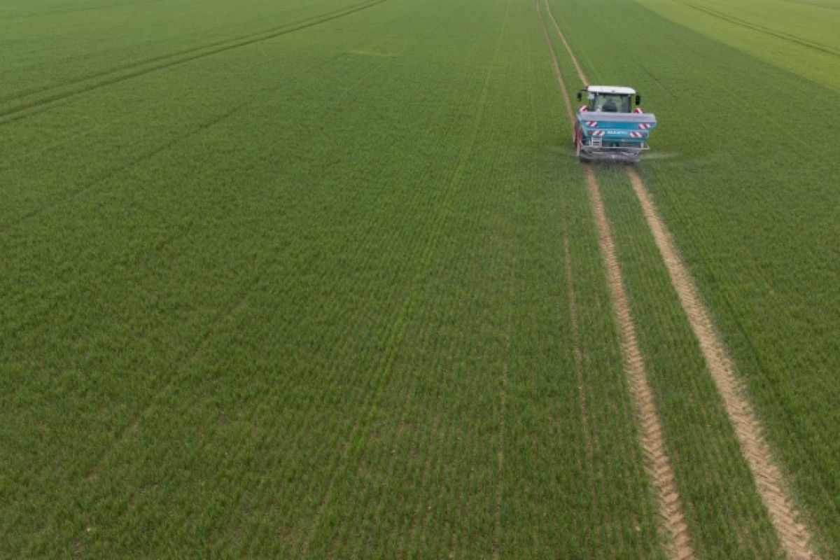 Zéro pesticide, zéro chimie de synthèse : ces champs prouvent que c’est rentable