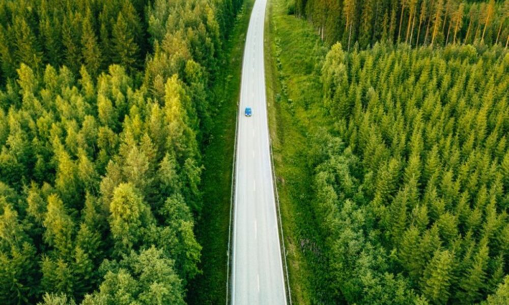La forêt française n’a jamais été aussi convoitée