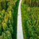 La forêt française n’a jamais été aussi convoitée
