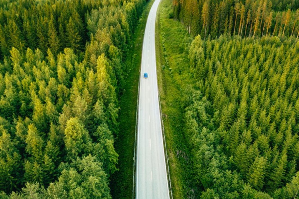 La forêt française n’a jamais été aussi convoitée