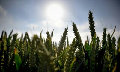 La France doit passer à la caisse pour affronter le climat qui change