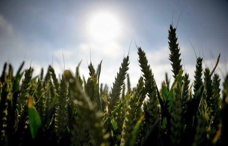 La France doit passer à la caisse pour affronter le climat qui change