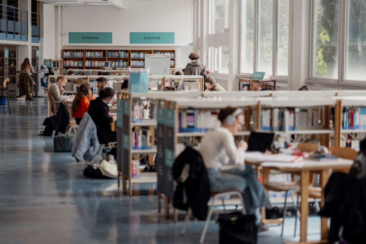 Ces fautes qui en disent long sur notre raisonnement