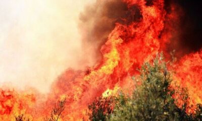 La Loire sous les flammes 250 pompiers pour sauver les forêts