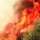 La Loire sous les flammes 250 pompiers pour sauver les forêts